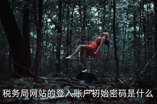 稅務局網站的登入賬戶初始密碼是什么