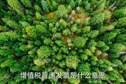 增值稅普通發票是什么意思
