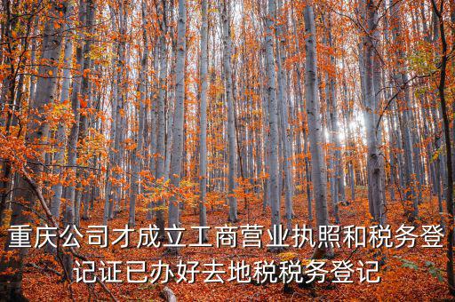 重慶公司才成立工商營業執照和稅務登記證已辦好去地稅稅務登記