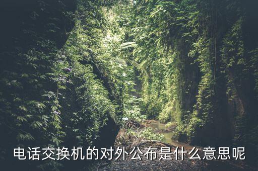 對外公開電話有什么，福建省廈門市湖里區人民法院對外公開號碼都有哪些
