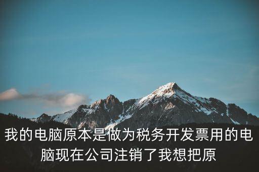 我的電腦原本是做為稅務開發票用的電腦現在公司注銷了我想把原