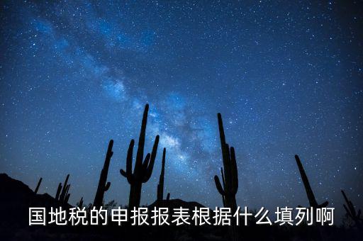 國地稅的申報報表根據什么填列啊