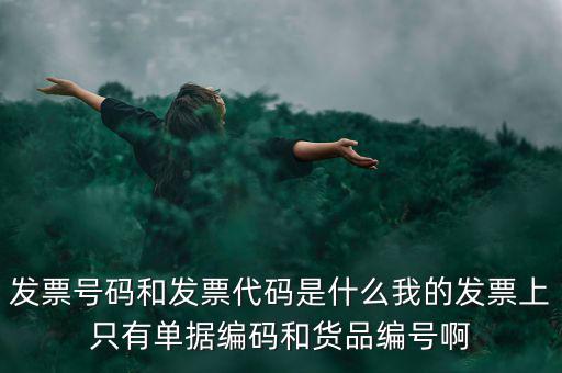 發票號碼和發票代碼是什么我的發票上只有單據編碼和貨品編號啊