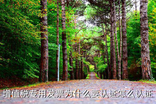 增值稅專用發(fā)票為什么要認證怎么認證