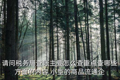 重點稅源稅務局看什么，稅務局主要看報表的什么