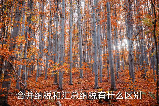 合并納稅和匯總納稅有什么區別
