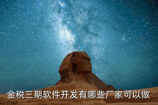 金稅三期軟件開發有哪些廠家可以做