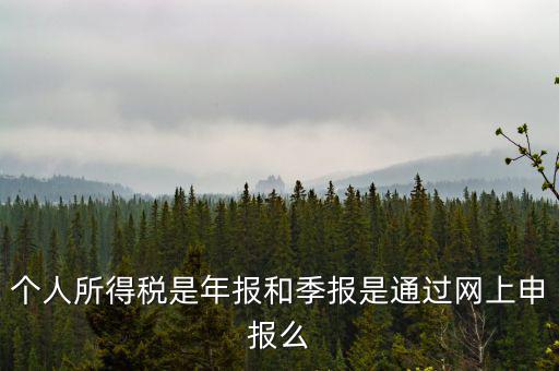 個人所得稅是年報和季報是通過網上申報么