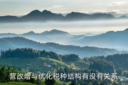 營改增與優化稅種結構有沒有關系
