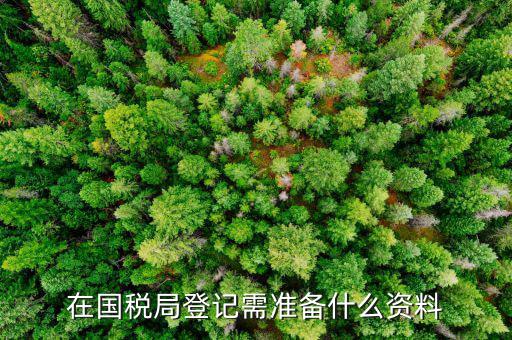 登記國稅需要什么手續(xù)，國稅登記需要帶什么資料