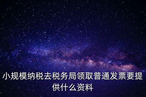 小規模納稅去稅務局領取普通發票要提供什么資料