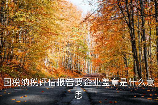 國稅納稅評估報告要企業蓋章是什么意思