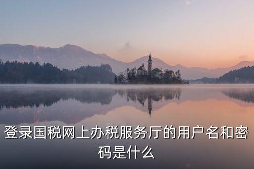 登錄國稅網上辦稅服務廳的用戶名和密碼是什么