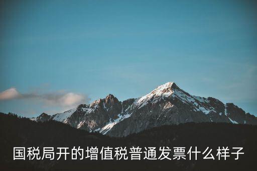 國稅局開的增值稅普通發票什么樣子