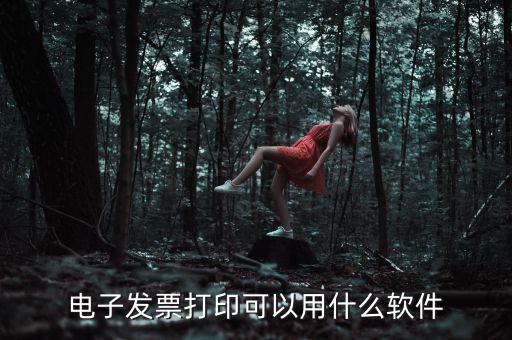 電子發票打印可以用什么軟件