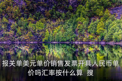 報關單美元單價銷售發票開具人民幣單價嗎匯率按什么算  搜