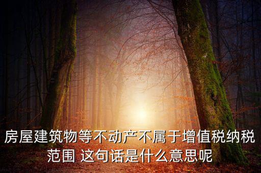房屋建筑物等不動產不屬于增值稅納稅范圍 這句話是什么意思呢