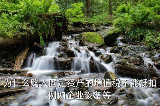 為什么購入固定資產的增值稅不能抵扣例如企業設備等
