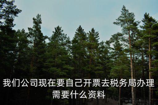我們公司現在要自己開票去稅務局辦理需要什么資料