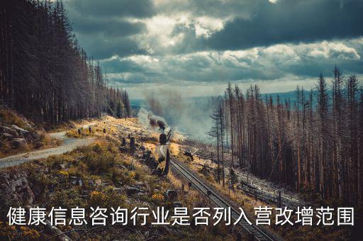 健康信息咨詢行業是否列入營改增范圍