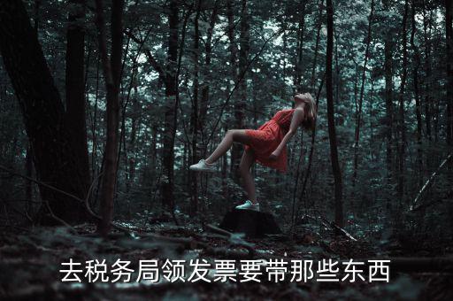 國稅領取發票需要帶什么，去國稅局領發票要帶什么