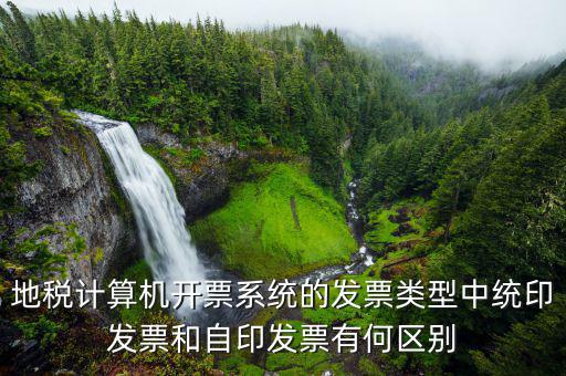 地稅計算機開票系統的發票類型中統印發票和自印發票有何區別