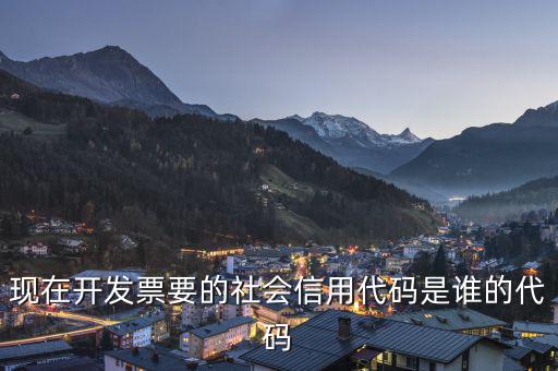 現在開發票要的社會信用代碼是誰的代碼