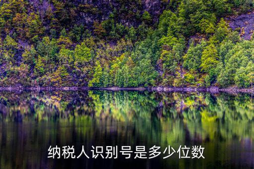 納稅人識別號是多少位數