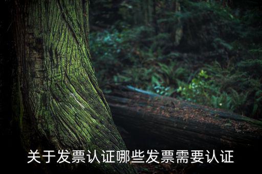 發(fā)票通過(guò)什么認(rèn)證嗎，關(guān)于發(fā)票認(rèn)證哪些發(fā)票需要認(rèn)證