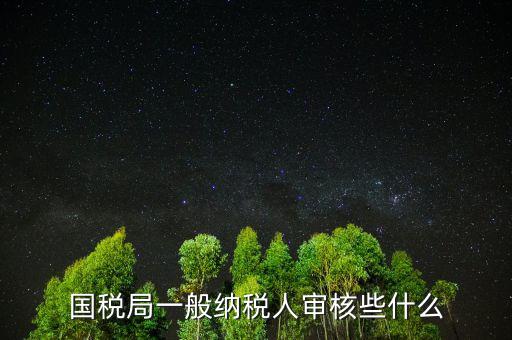 國稅審查企業些什么，國稅局一般納稅人審核些什么