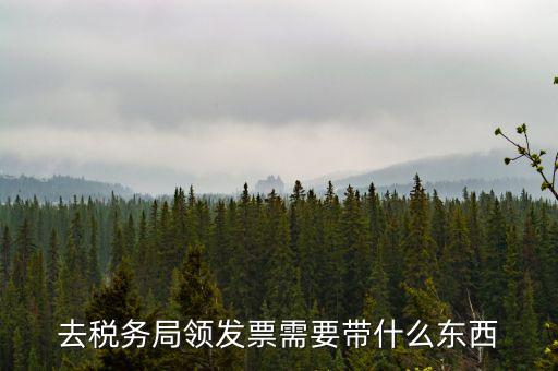 去稅務局領發票需要帶什么東西