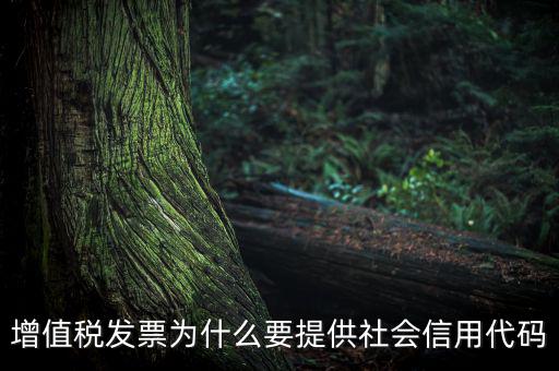增值稅發票為什么要提供社會信用代碼