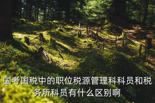 國考國稅中的職位稅源管理科科員和稅務所科員有什么區別啊