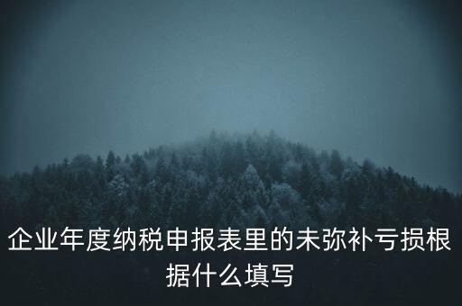 企業年度納稅申報表里的未彌補虧損根據什么填寫