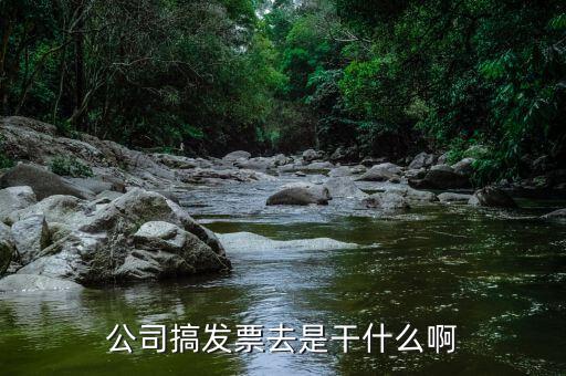 公司外購發票干什么，公司搞發票去是干什么啊
