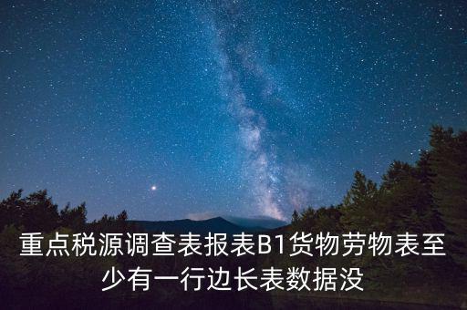 重點稅源調查表報表B1貨物勞物表至少有一行邊長表數據沒