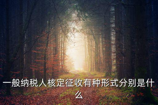 國稅函調是什么形式，國稅函調系統可以發起普通發票協查嗎