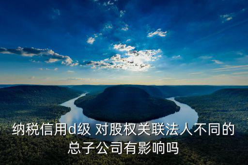 納稅信用d級 對股權關聯法人不同的總子公司有影響嗎