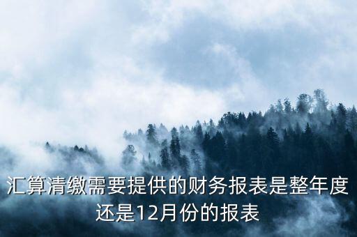 匯算清繳需要提供的財務報表是整年度還是12月份的報表