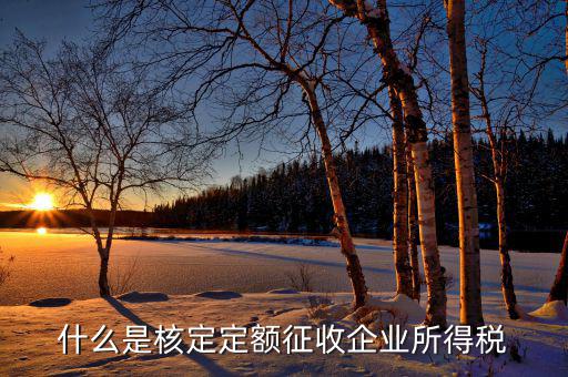 什么是核定定額征收企業所得稅