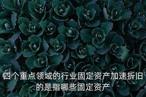 四個重點領域的行業固定資產加速折舊的是指哪些固定資產