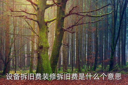 設(shè)備拆舊費(fèi)裝修拆舊費(fèi)是什么個意思