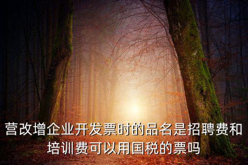 營改增企業開發票時的品名是招聘費和培訓費可以用國稅的票嗎