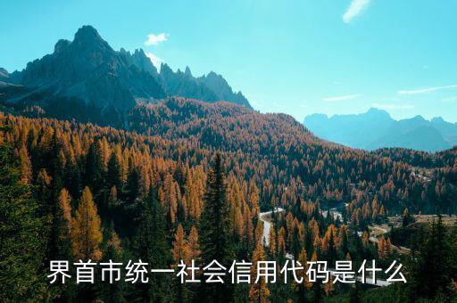 界首市統一社會信用代碼是什么