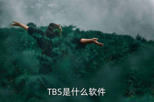金穗軟件是什么軟件，這個軟件叫什么