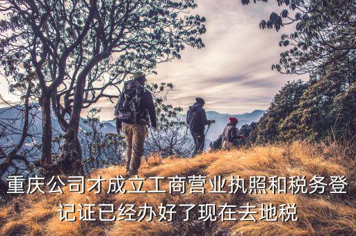 重慶公司才成立工商營業執照和稅務登記證已經辦好了現在去地稅