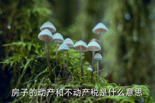 房子的動產和不動產稅是什么意思
