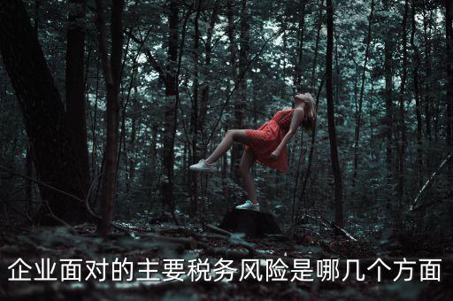 企業面對的主要稅務風險是哪幾個方面