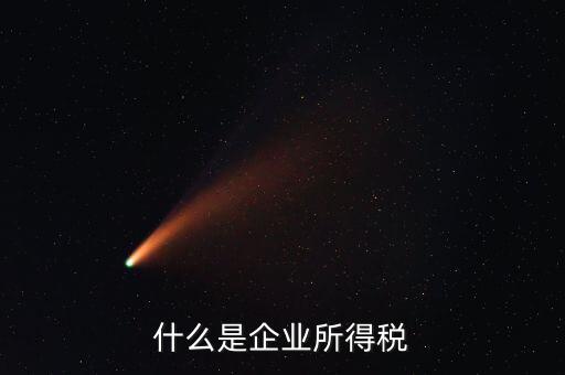 什么是企業所得稅
