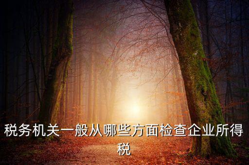 稅務機關(guān)一般從哪些方面檢查企業(yè)所得稅